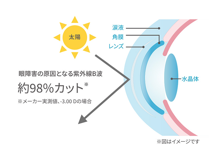 紫外線をカット